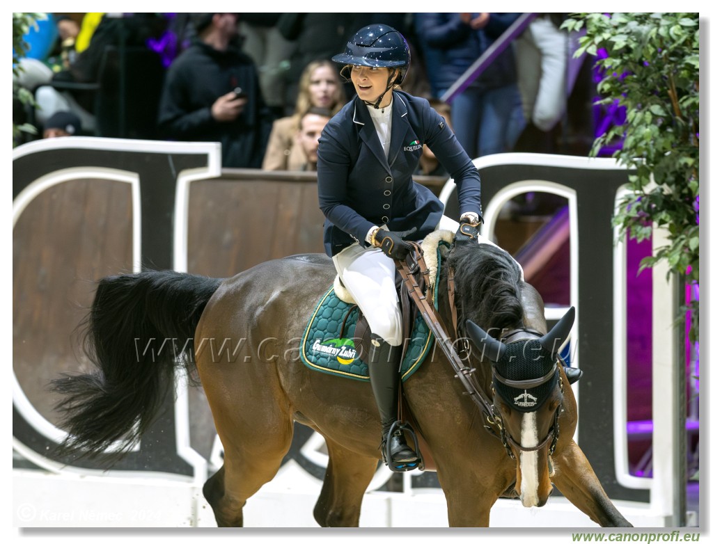 Gold Tour Grand Prix 150 cm