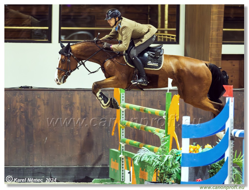 Gold Tour Grand Prix 150 cm