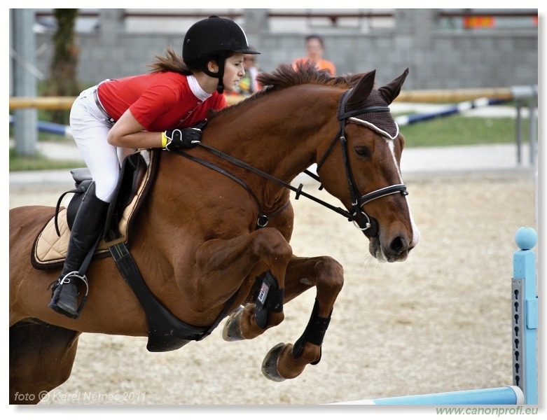 SHERON Grand Prix CSI* Pezinok