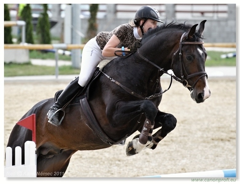 SHERON Grand Prix CSI* Pezinok