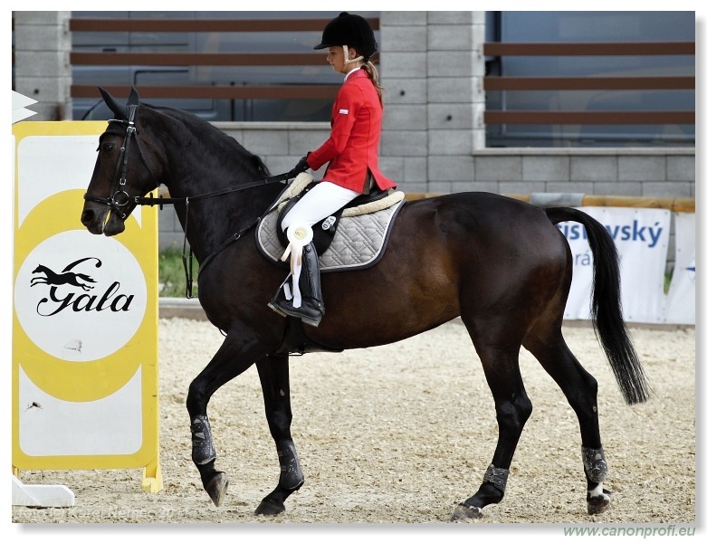 SHERON Grand Prix CSI* Pezinok