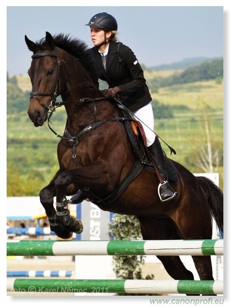 M SR 2011 v skoku na koni - Pezinok