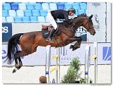 Chellano Lady - AndrejHolly, SVK 