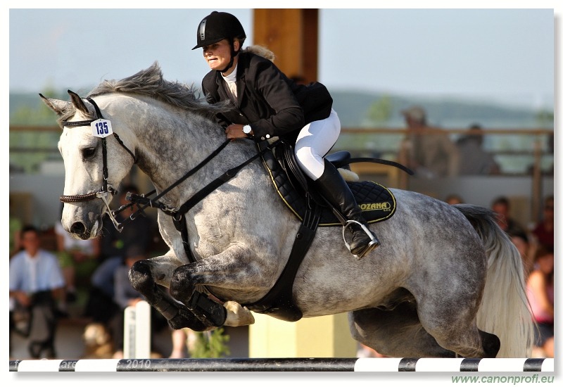 TAX-AUDIT Slovensko Grand Prix CSI* Pezinok