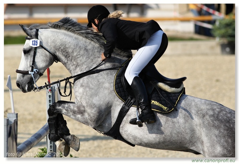 TAX-AUDIT Slovensko Grand Prix CSI* Pezinok