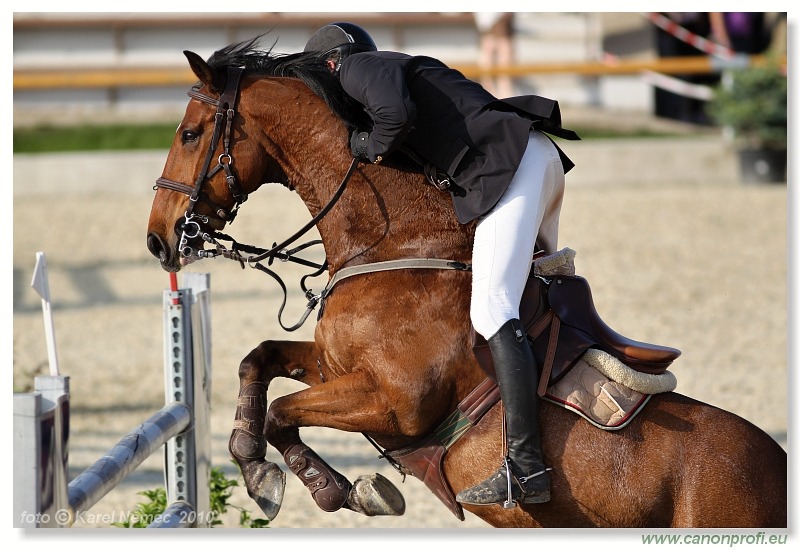 TAX-AUDIT Slovensko Grand Prix CSI* Pezinok