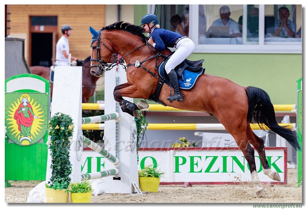 Rozlka Grand Prix 16th June 2018 - 130 cm