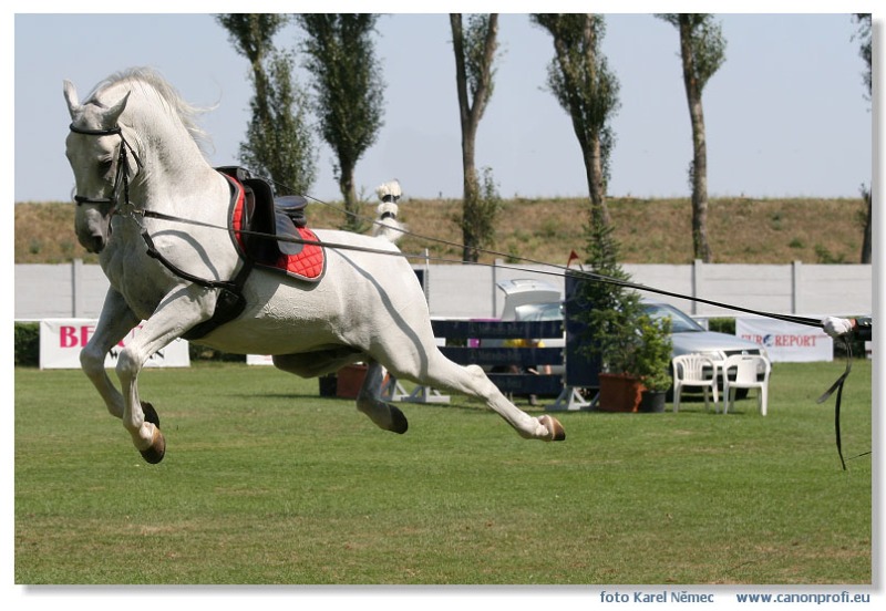 Bratislava - Grand Prix 2007