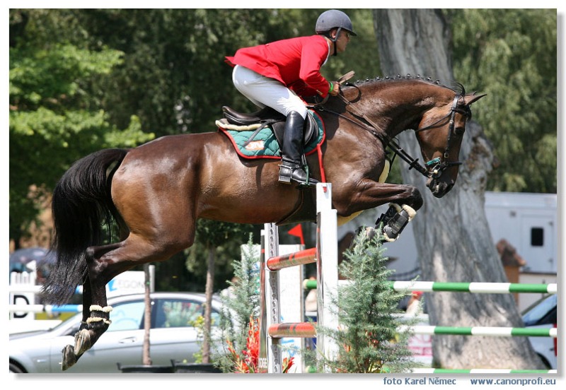 Bratislava - Grand Prix 2007