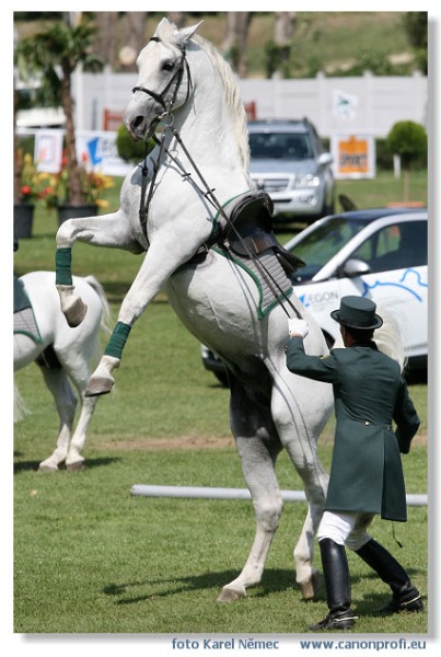 Bratislava - Grand Prix 2007