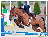 Malokarpatsk strapec CSI2* - Middle Tour