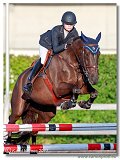 Loro Piana Ballyleck Royale - Björklund Alma, SWE