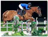 Jarvis van D Abelendreef - Heed Linda, SWE