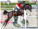 BLACK JACK - Lucie VYSKOČILOVÁ