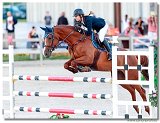 JULIA ´S DIAMOND - Petra HAVLOVIČOVÁ