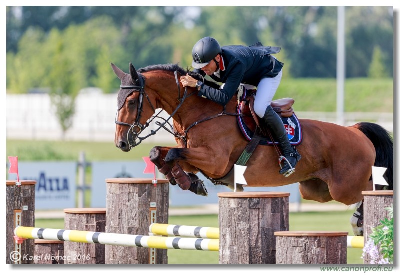 amorn Summer Masters - Grand Prix