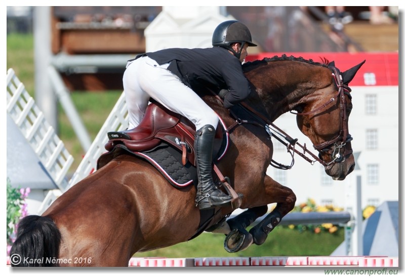 amorn Summer Masters - Grand Prix