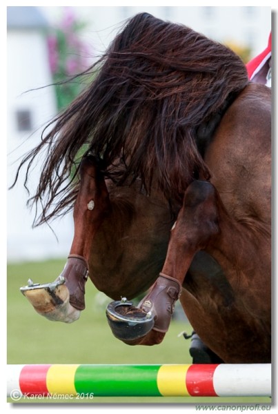 amorn Summer Masters - Grand Prix