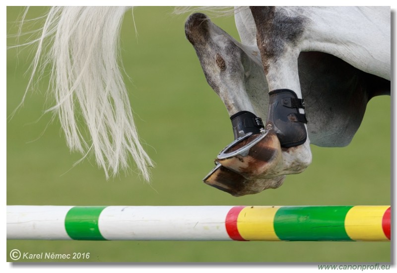 amorn Summer Masters - Grand Prix