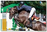 Electra S - Joao Pedro Gomes, POR