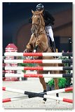GIELEN Kevin, BEL - CIANDRO - 160 cm 