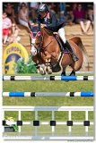 TIP TOP MURY MARAIS Z - MC ENTEE Patrick, AZE 