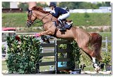 BABY FEE DES HAZALLES - DAIGNEUX-LANGE Fabienne, BEL 