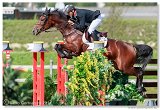 Grand Prix of Samorin