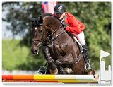 POLLENDR - MUFF Werner, SUI