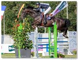 ACE Z - SCHOONBROODT Celine, BEL