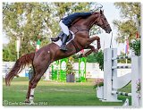 ROCKER D'YSIEUX - GEORGE Emeric, FRA