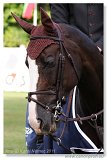 Grand Prix Bratislava 2011
