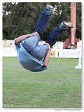 Show Jumping mimo programu 