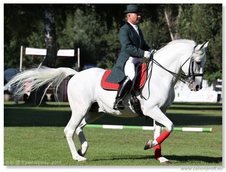 N� Topo��ianky