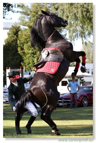 N� Topo��ianky