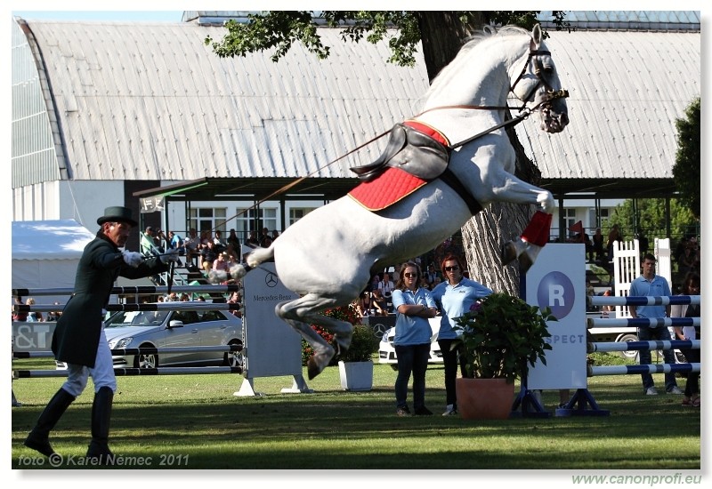 N� Topo��ianky