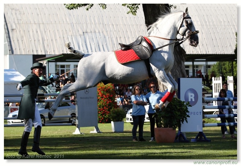 N� Topo��ianky