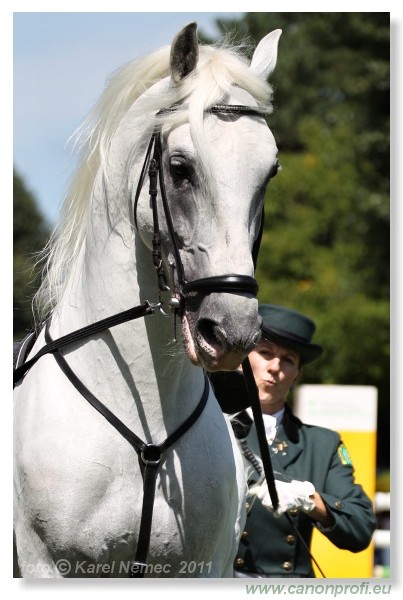 N� Topo��ianky