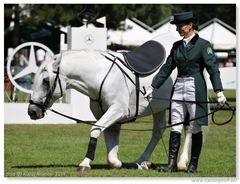 N� Topo��ianky