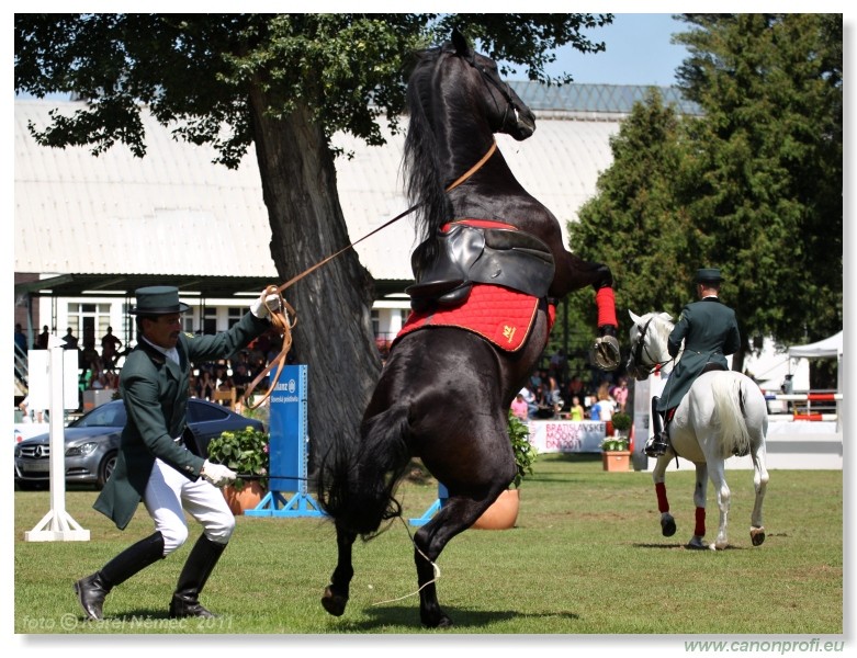 N� Topo��ianky