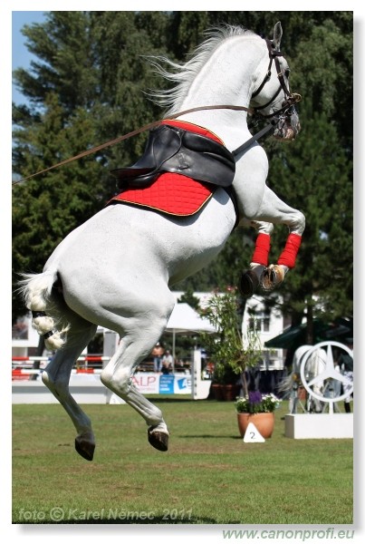 N� Topo��ianky