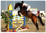 Six Bar Competition