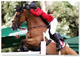 LADY D II - CROTTA Fabio, SUI 