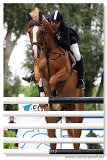 SILJONA B - KORMENDY Gyorgy, GRE - 160 cm 