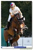 CAVALINO - Zelinkova Zuzana 