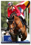 CAVALINO - Zelinkova Zuzana 