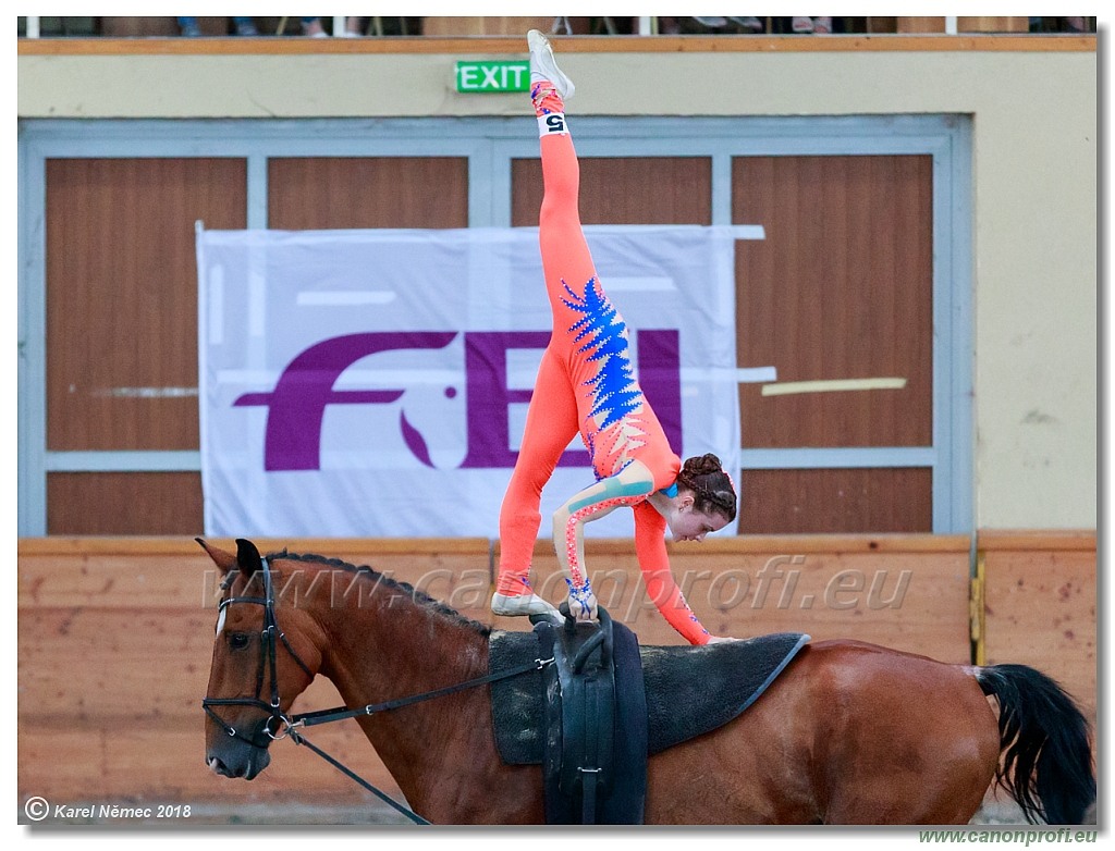  CVI Pezinok - 16th June 2018 - Individual CVIJ2*