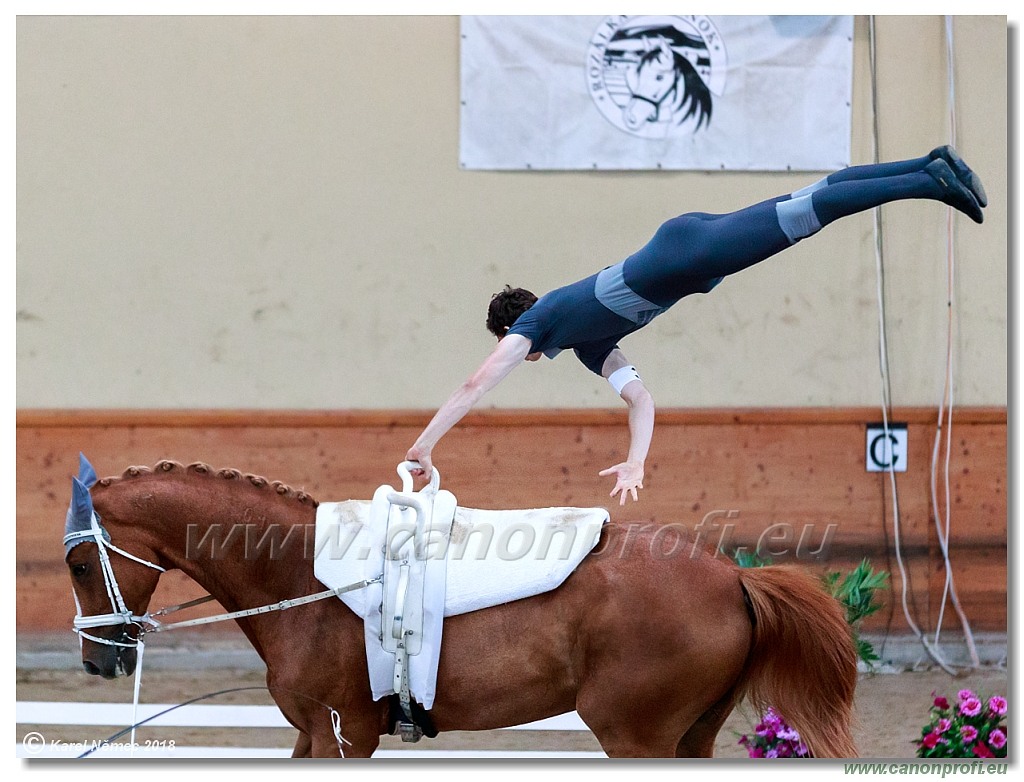  CVI Pezinok - 16th June 2018 - Individual CVIJ2*