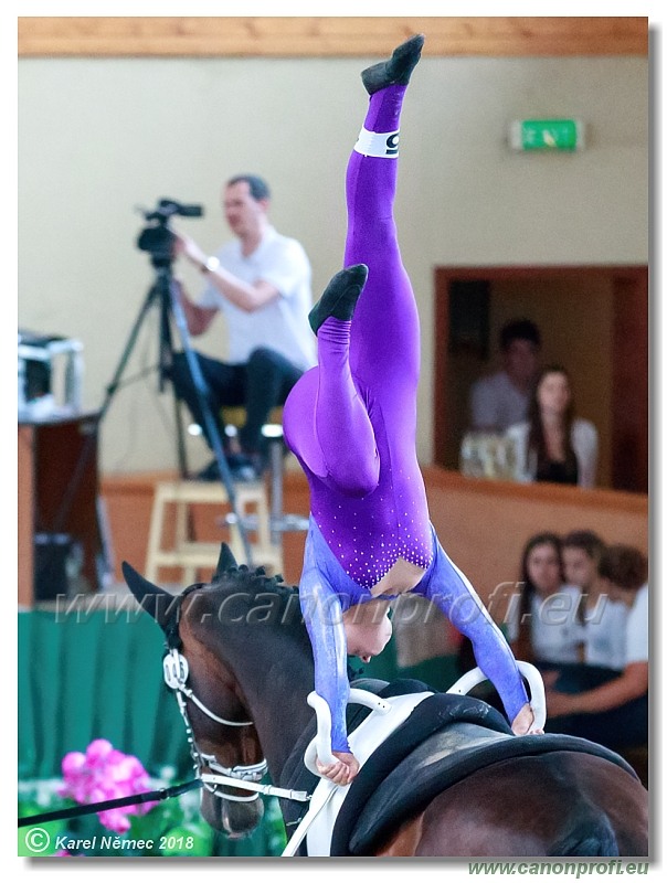  CVI Pezinok - 16th June 2018 - Individual CVIJ2*