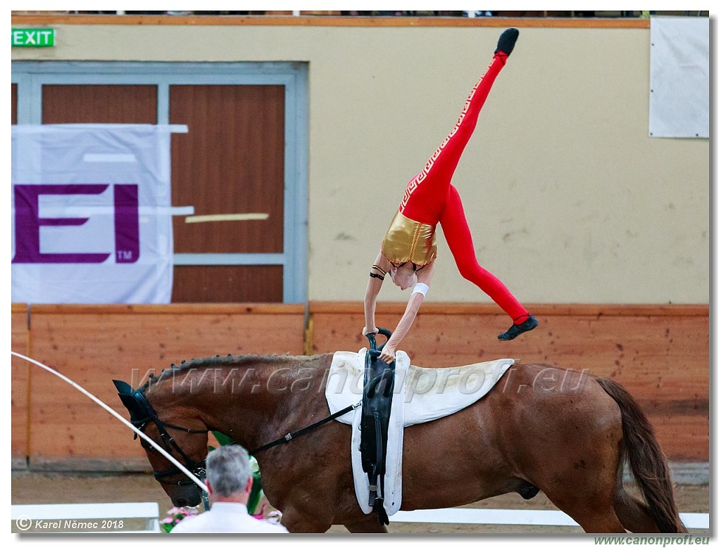  CVI Pezinok - 16th June 2018 - Individual CVIJ2*